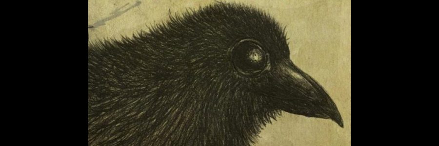 Bestiarium